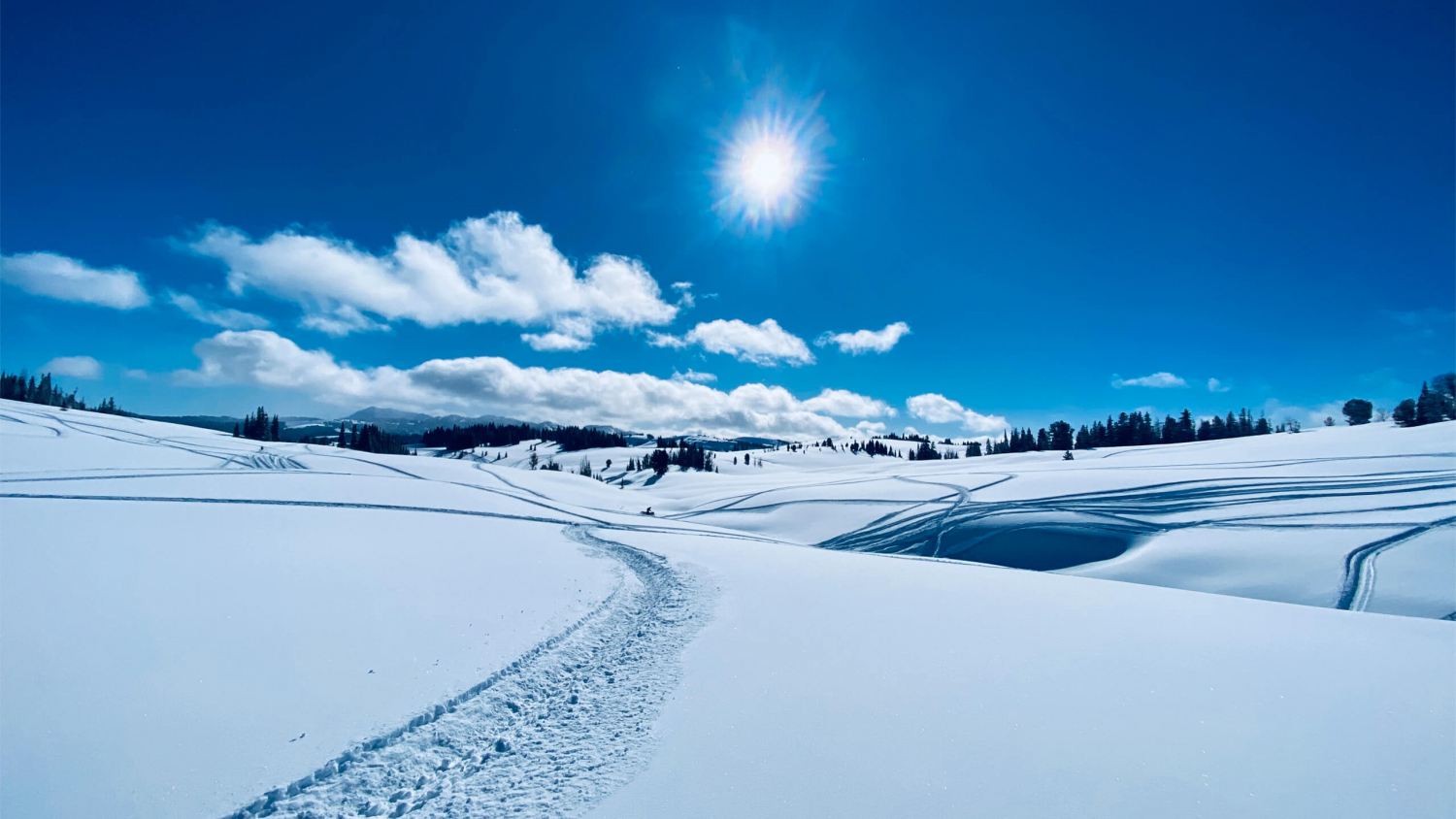 Box Y Lodge & Guest Ranch Alpine Wyoming Rustic & Hunting Lodge